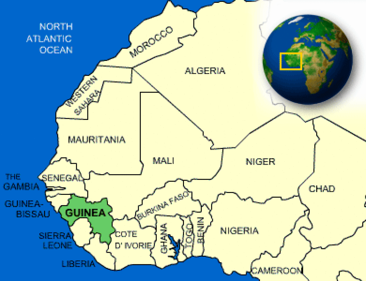 Guinea Facts, Culture, Recipes, Language, Government ...